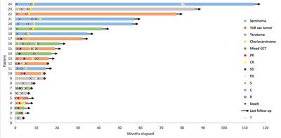 Clinical Characteristics and Outcomes of Patients With Primary Mediastinal Germ Cell Tumors: A Single-Center Experience